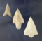 Set of three Florida arrowheads found in Manatee and Pasco Counties.  Largest is 1 7/8