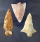Set of three assorted arrowheads found in Pasco and Pinellas Co.,  Florida.