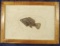 Nice large framed fossil fish slab found in Kemmerer, Wyoming. Actual fish fossil is large at 6