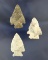 Set of three Cornernotch points found in Huron Co.,  Ohio. Largest is 1 1/2