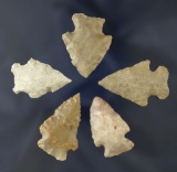 Set of 5 Arrowheads, largest is 1 1/2