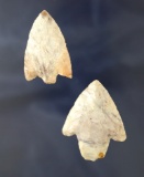 Pair of Florida arrowheads found in Hillsborough and Pasco Co.,.  Ex. Robert E. Barr, Len Weidner.