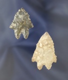 Pair of Lake Erie Bifurcates found in Erie Co., Ohio. Largest is 1 9/16