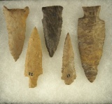 Set of five Tennessee arrowheads found near Dickson, largest is 3 1/2