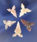 Set of five Toyah style Texas bird points, largest is 7/8