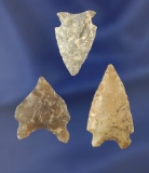 Set of three nice arrowheads found in South Dakota, largest is 1 3/8