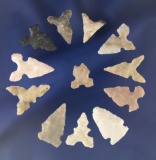 Set of 12 Birdpoints found in Texas, largest is 13/16