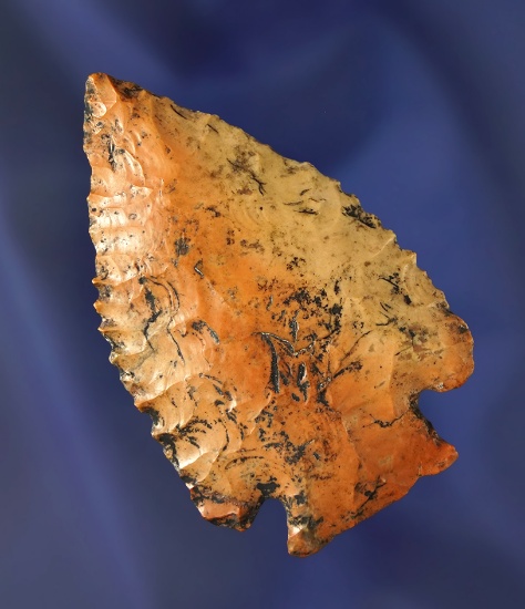 River stain patina  2 11/16" Pine Tree  that was a creek find in Prentice Co., MI.  Dickey COA.