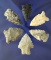 6 Arrowhead Points - one is an Intrusive Mound found in Indiana.  Largest is 1