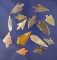 Group of 14 assorted African Neolithic arrowheads from the northern Sahara desert region.