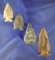 Set of four nice arrowheads found in southern Ohio including an Intrusive Mound Jack's Reef