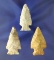 3 Corner Notch Points found in Lorain Co., Ohio. Largest is 2