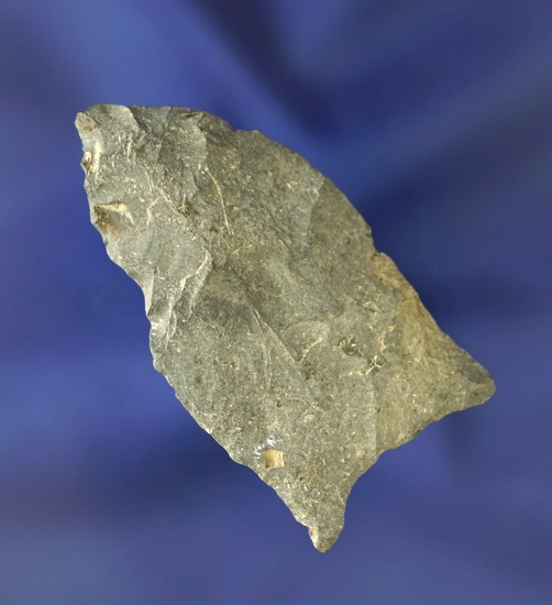 2" Paleo Hi-Lo Point made from Nellie Chert and found in Ashland Co., Ohio.  Ex. Hooks.