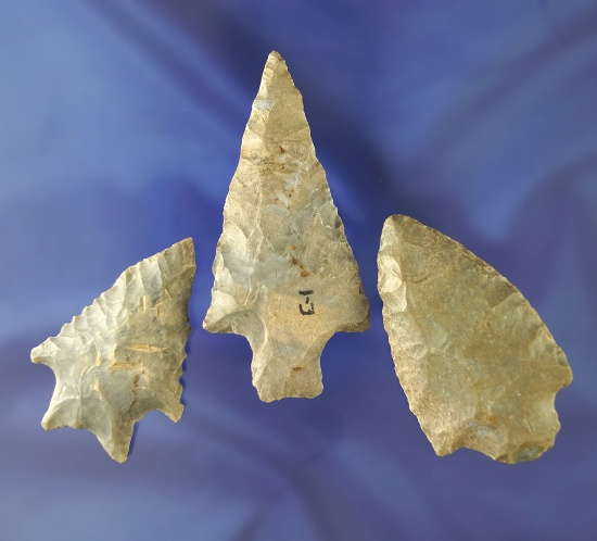 Set of three nice arrowheads found in Tennessee and Alabama. Largest is 2 5/8".