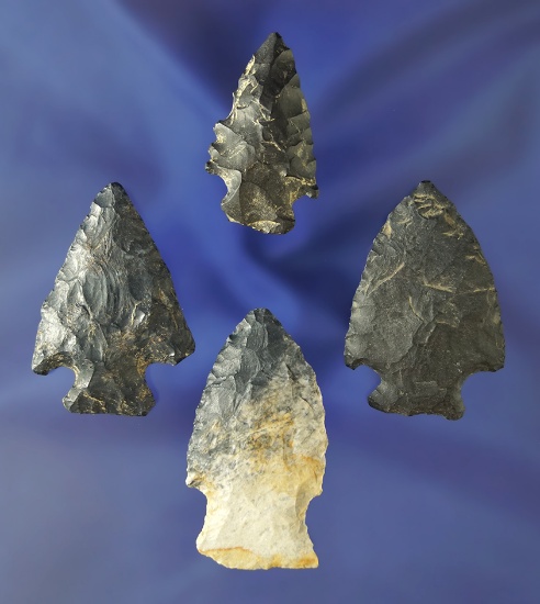4 Coshocton Flint Arrowheads found in Huron Co., Ohio.  Largest is 1 7/8".
