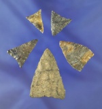 Set of five very nice Triangle points found in Pennsylvania. Largest is 1 11/16