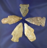 Set of five assorted Ohio arrowheads and nice condition, largest is 2 3/16