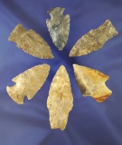 Set of six assorted Midwestern arrowheads, largest is 2 9/16