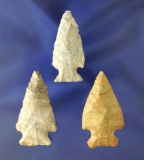 3 Corner Notch Points found in Lorain Co., Ohio. Largest is 2