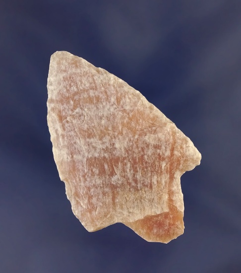 2 7/16" Pasco Co.,  Florida arrowhead made from beautiful translucent heat-treated coral.