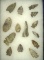 Group of 14 assorted arrowheads made from Indiana Green Flint found in Indiana.