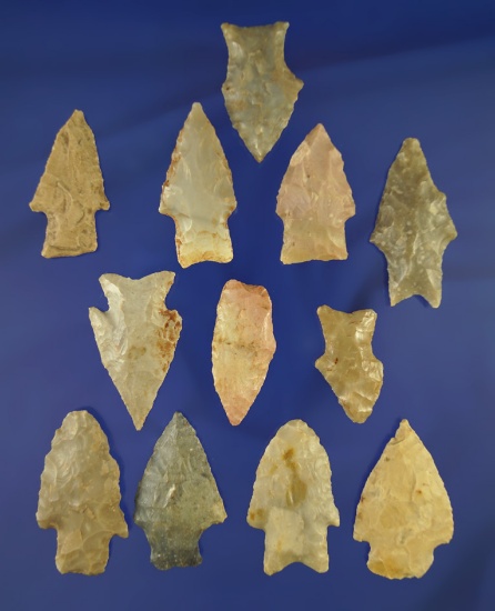 12 assorted Midwestern arrowheads, largest is 1 13/16".
