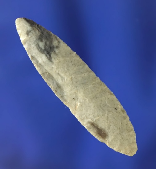 1 3/4" Nodena - exceptional flaking made from attractive  Flint found in Arkansas.  Bennett COA