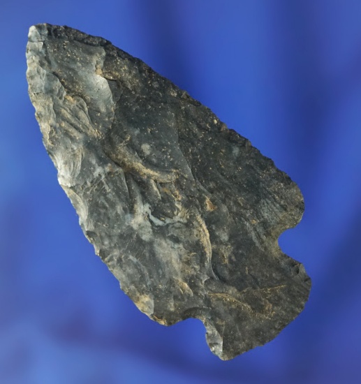 2 5/16" Coshocton Flint Cornernotch found in Michigan. Ex. Phil Waigel collection.