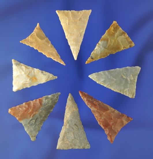 Set of eight nicely made Triangle points found in Kentucky, largest is 1 3/16".