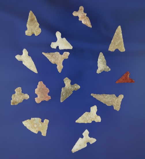 Group of 15 assorted Toyah points found in Texas, largest is 7/8".
