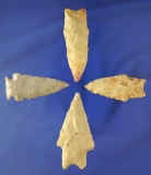 Set of four midwestern arrowheads in good condition, largest is 1 3/8