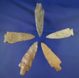 Set of five Midwestern arrowheads in good condition, largest is 2 5/8