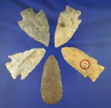Set of five nice Midwestern arrowheads, largest is 2 13/16