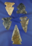 Set of five assorted Ohio arrowheads including a Dovetail, largest is 2 5/16