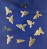 Group of 12 assorted Texas Toyah points, largest is 3/4