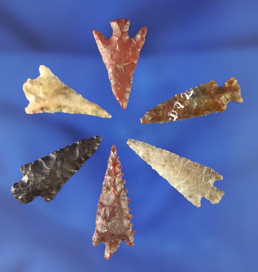 Set of six assorted Columbia River arrowheads in very nice condition, largest is 1 3/16".
