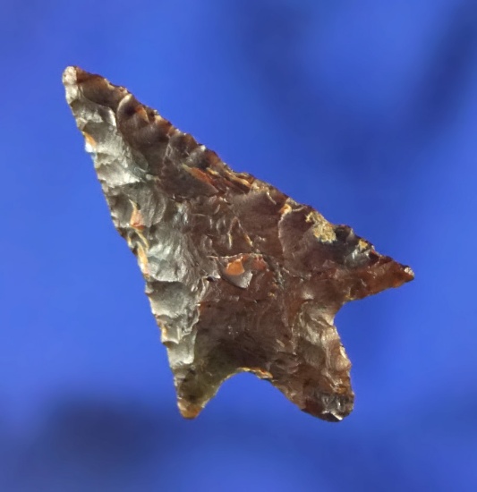 1 1/8" brown Jasper Rabbit Island that is very nicely styled found in Washington.