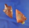 Pair of beautiful points including a Marion and a Hardee - Polk and Pasco counties, Florida.