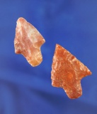 Pair of Marion points made from attractive material, largest is 1 9/16