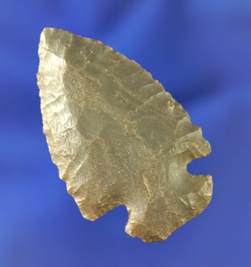1 7/8" miniature Dovetail found in Miami Co.,  Ohio.