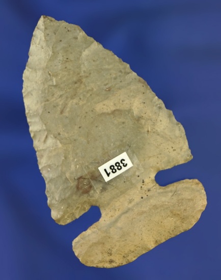 Archaic Thebes Bevel that is thin and well patinated found in Montgomery County Ohio..