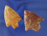 Pair of Florida arrowheads- high-quality material, largest is 1 13/16