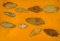 Set of 10 assorted Midwestern arrowheads, largest is 3 1/2