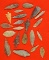 Set of approximately 20 assorted African Neolithic arrowheads found in the northern Sahara desert