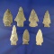 Set of seven assorted arrowheads found in Michigan, largest is 2 1/2