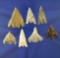 Set of seven assorted arrowheads found in Florida, largest is 1 7/8