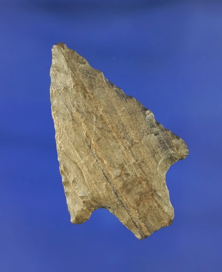 1 13/16" Dickson point found in Arkansas that was deaccessioned by the Museum of NA History.