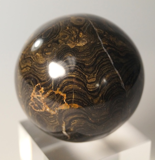 2 1/2" diameter Stromatolite (algea) sphere fossil, Madagascar