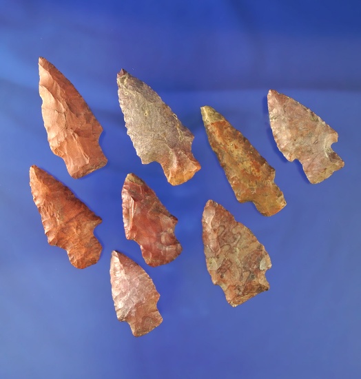 Set of eight assorted Mississippi arrowheads, largest is 2 9/16".