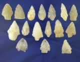 Nice group of 16 Quartz arrowheads found on the eastern seaboard. Largest is 1 5/16